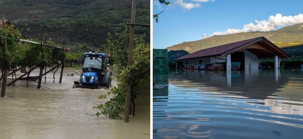 Esondazione del Sarca: gravi danni a coltivazioni, impianti e cantieri
